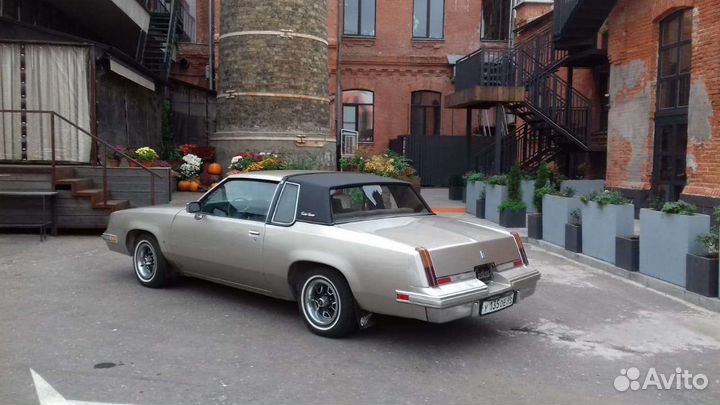 Аренда автомобилей для фотосессии