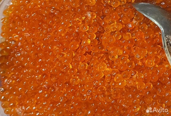 Красная икра горбуши, кижуч Камчатка 2023