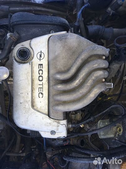 Opel Astra F caravan кузов по частям