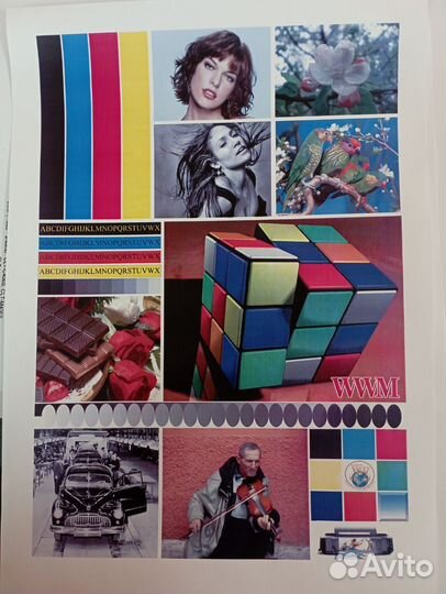 Мфу samsung c460w цветной