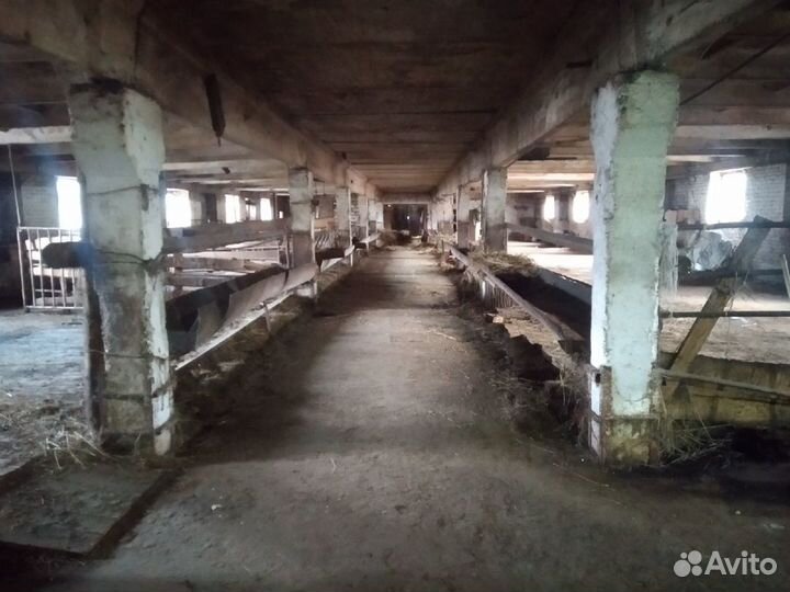 Животноводческая ферма продаю