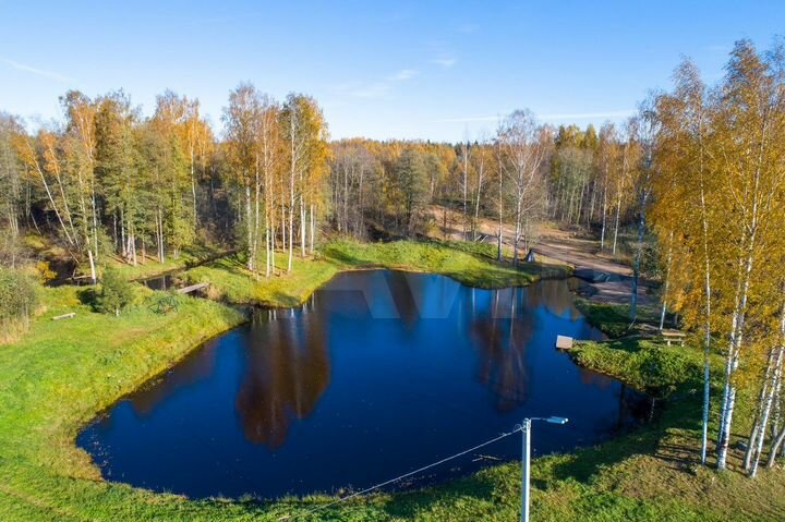 Участок 11,6 сот. (СНТ, ДНП)