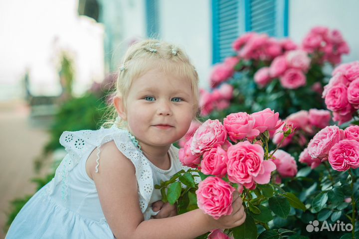 Фотограф СПб