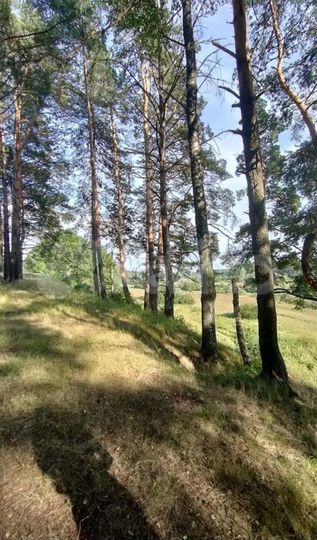 Участок 14,2 сот. (ИЖС)