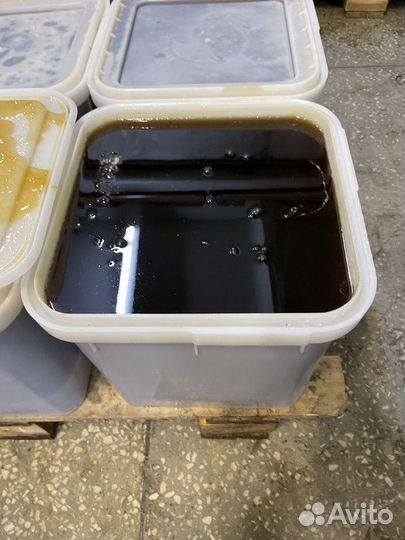 Гречишный мед оптом