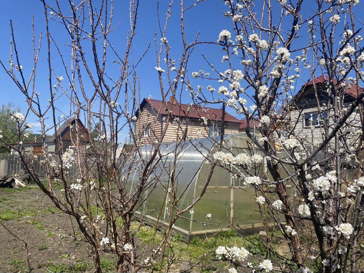 Участок 5,2 сот. (СНТ, ДНП)