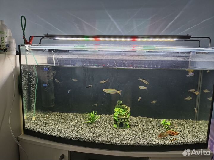 Аквариум 160 литров