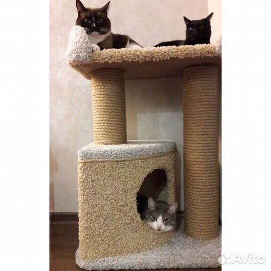 Когтеточка, домик для кошки