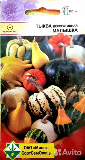 Тыква, патиссон (семена Италия, рб, Франция)