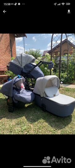 Коляска Adamex Reggio 3 в 1