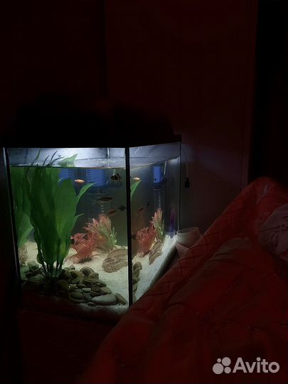 Аквариум 35 литров с крышкой
