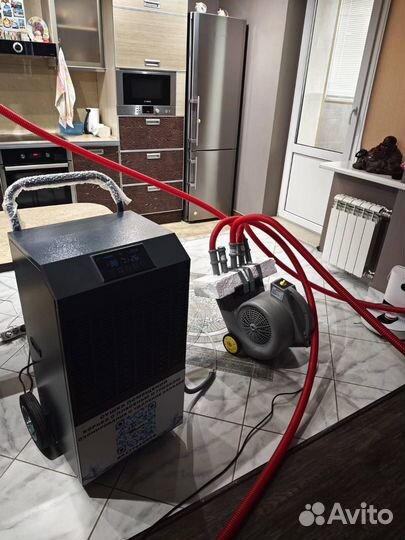 Дезинфекция от клопов тараканов мышей