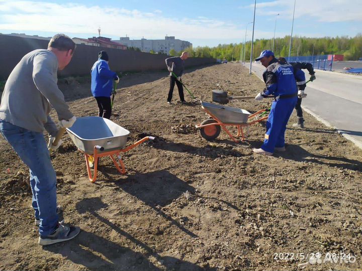 Разнорабочие Оплата каждый день