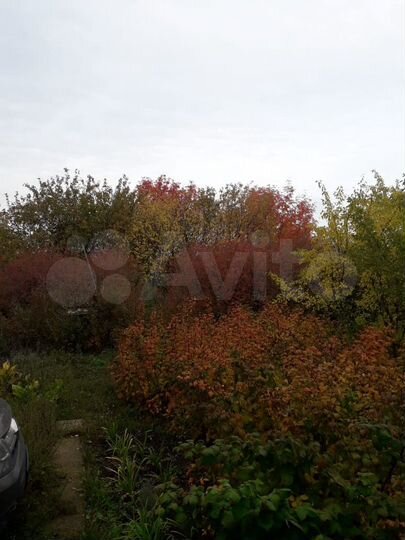 Участок 12 сот. (СНТ, ДНП)