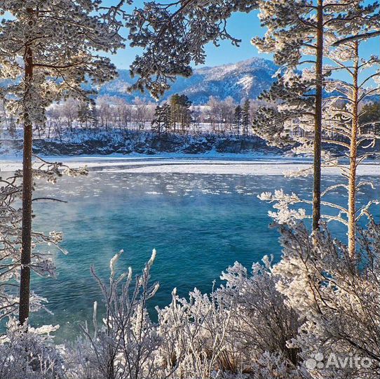 Новогодний тур в Горный Алтай