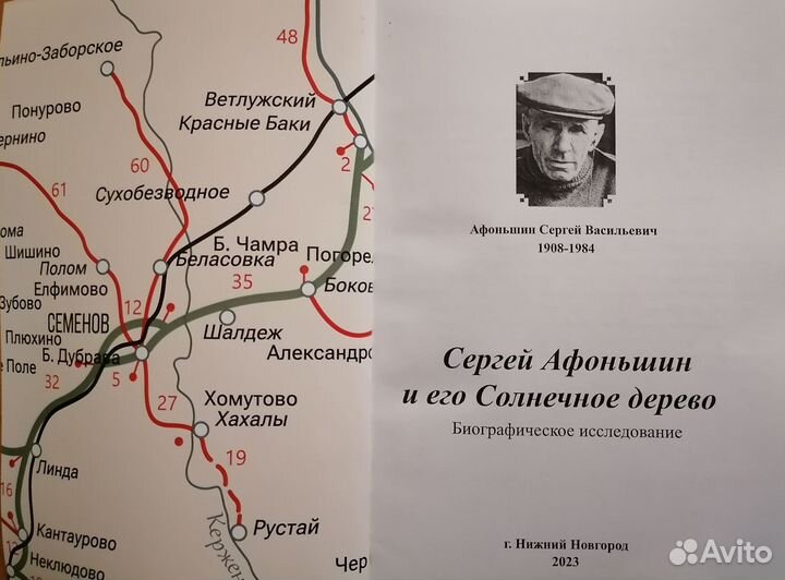Биография Сергей Афоньшин и его Солнечное дерево