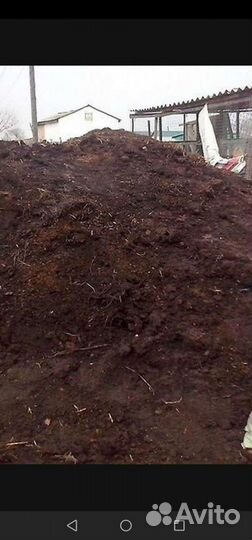 Продам перегной