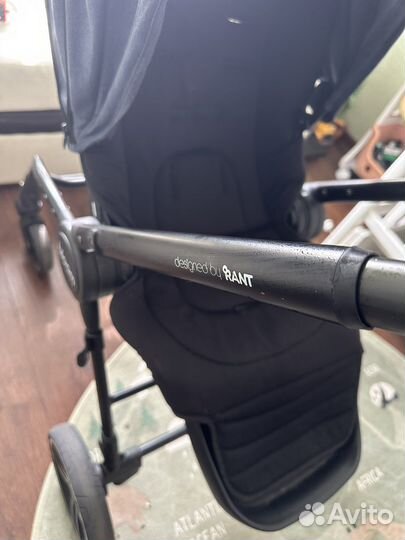 Коляска прогулочная rant bloom