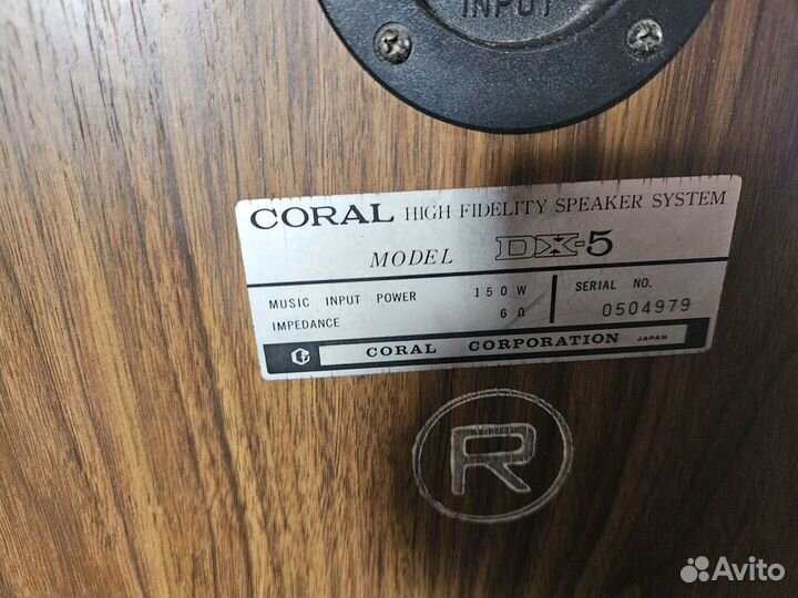 Coral DX-5