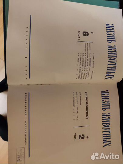 Энциклопедия 