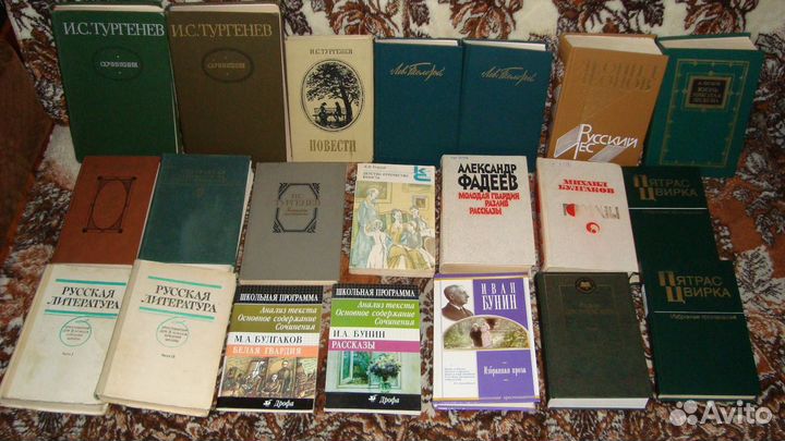 Русская литература: школьная программа
