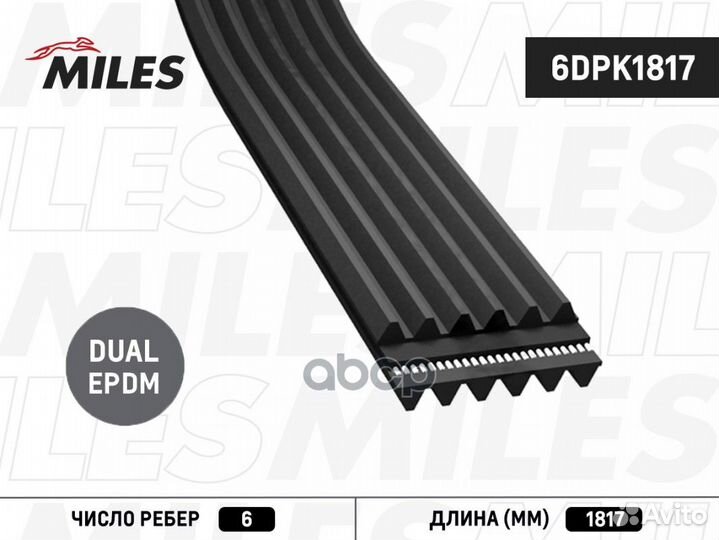 Ремень п/к 6DPK1817 6DPK1817 Miles