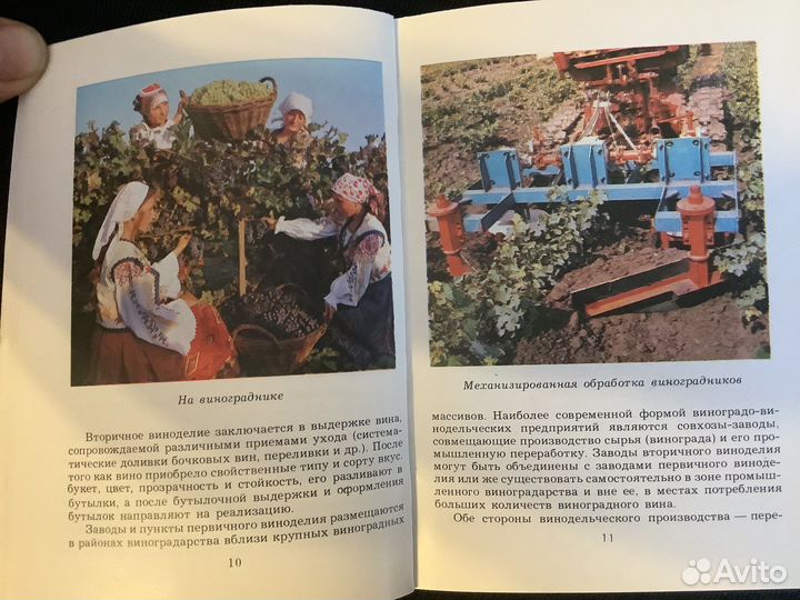 Книга о винограде и вине