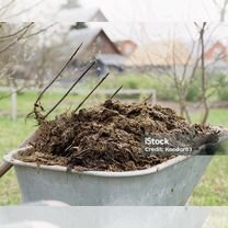 Навоз коровий перегной самовывоз