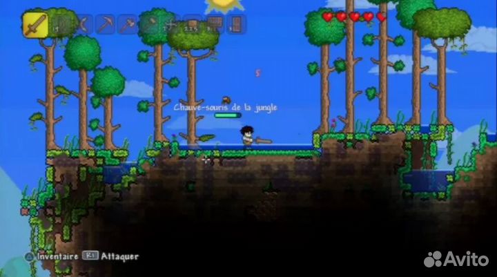 Terraria (PS4, английская версия)
