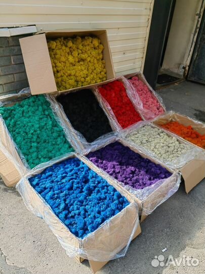 Стабилизированный мох зелёный. Арт 193,от