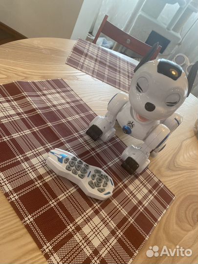Робот собака на пульте