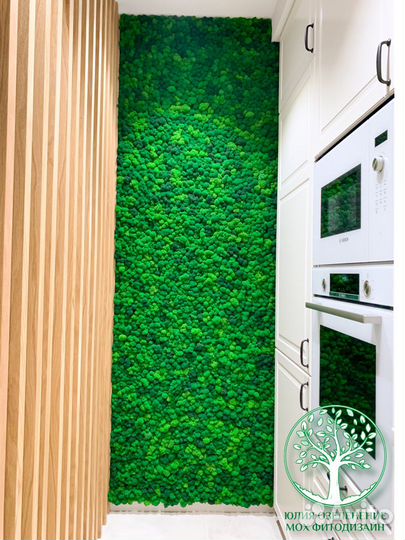 Панно панели фитостена декор мох стабилизирован