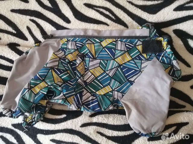 Одежда для собак мелких пород