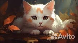 Почтальон промоутер от 14 лет