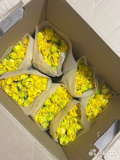 Тюльпаны к 8 марта оптом