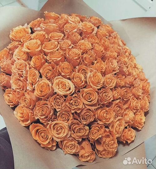 101 персиковая роза