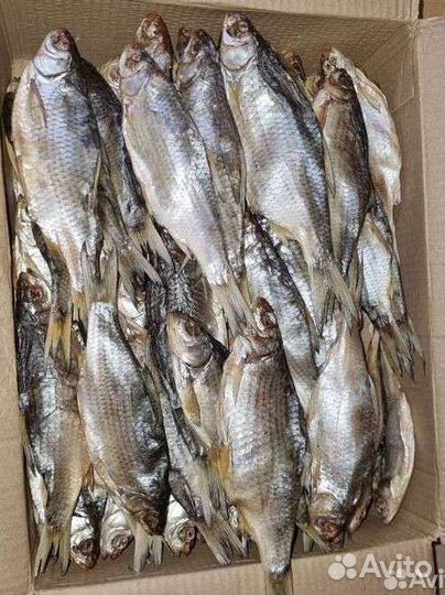 Вобла Вяленая премиум