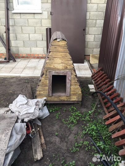 Собачья будка