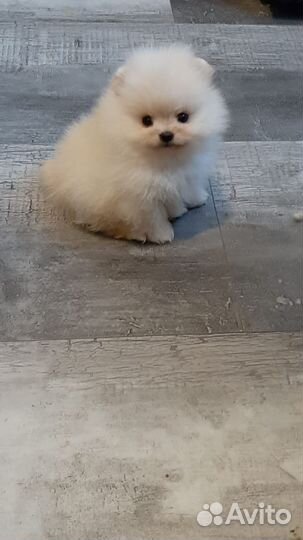 Облачко Девочка