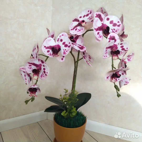 Орхидеи искусственные