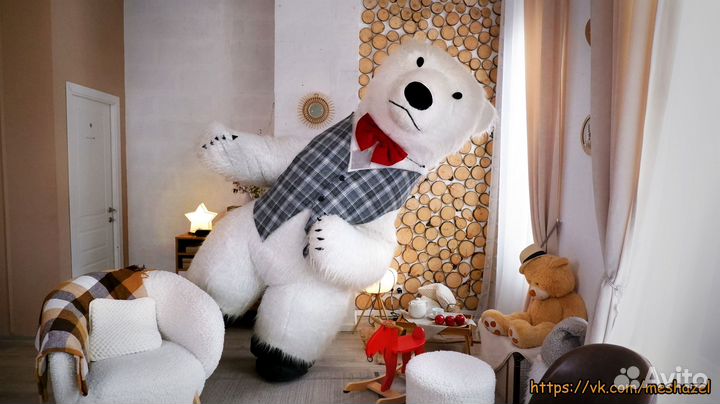 Белый мишка, поздравление Зеленоград