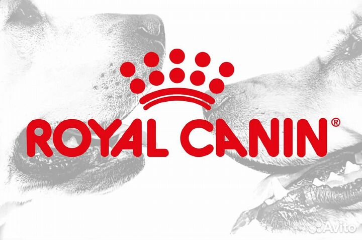 Royal Canin Роял Про корм для собак Большие мешки