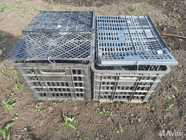 Клетка для птиц и кроликов бу