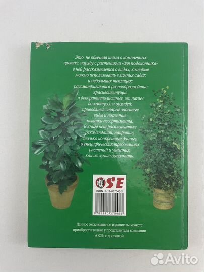 Комнатные растения