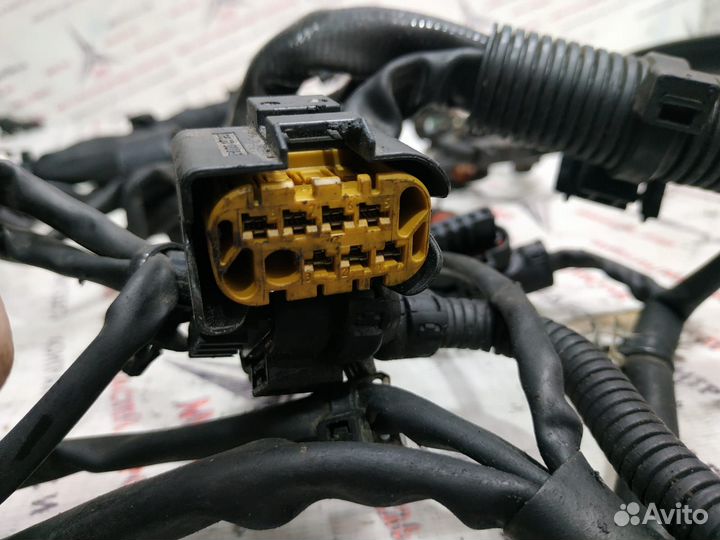 Проводка двигателя om651 Mercedes