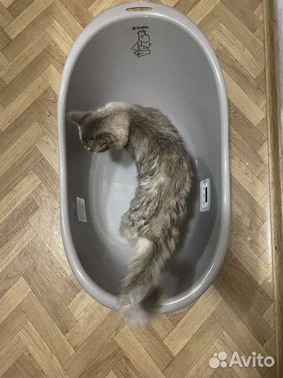 Детская ванночка для купания Olsson Gloria