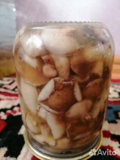 Грибы свежие и маринованные