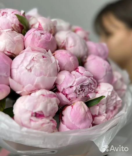 Пионы букет