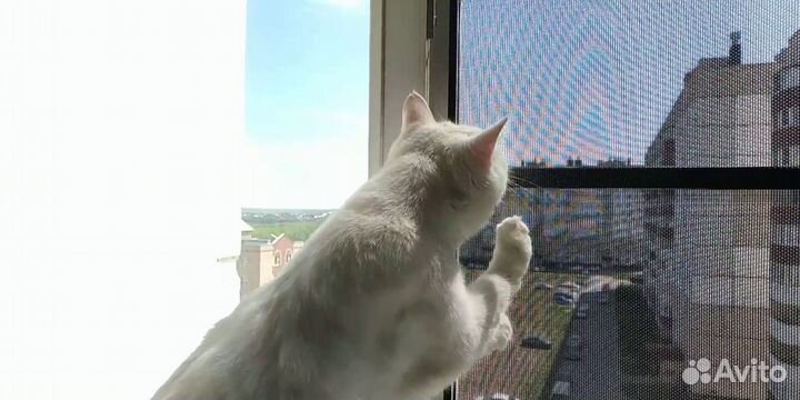 Москитная сетка антипыль