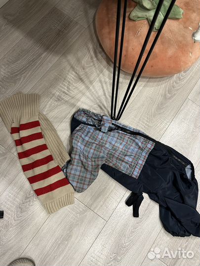 Костюм для собаки